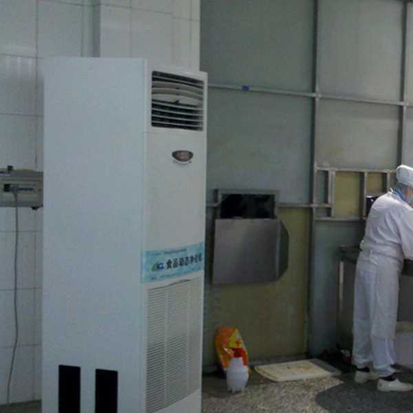 城口食品正负离子空气杀菌器